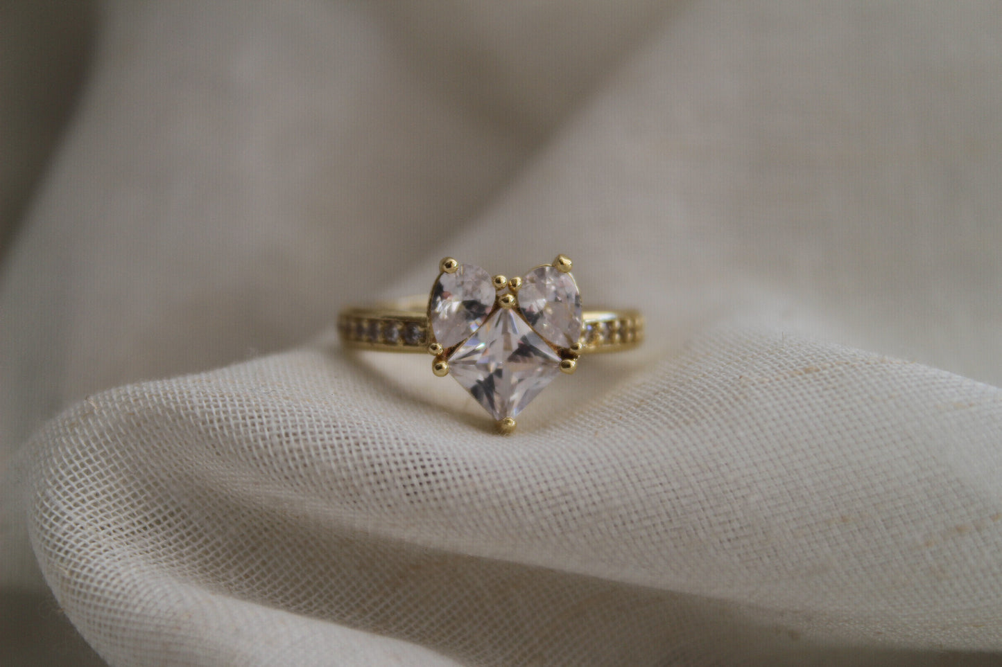 Promise Heart