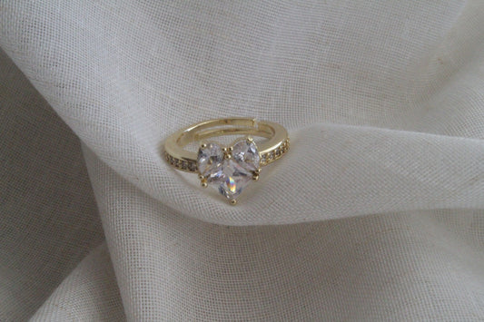 Promise Heart